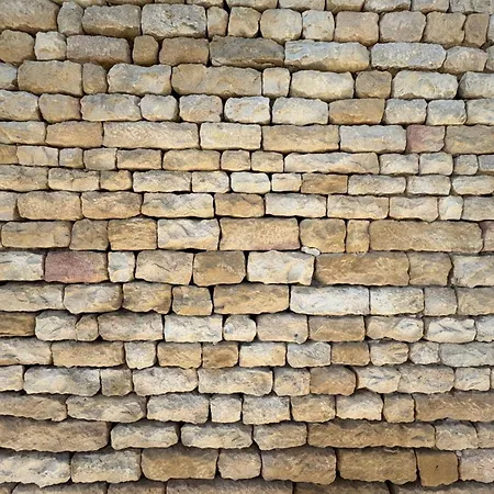 La Grange De Moliere, Proche Lascaux Et Sarlat Дом отдыха La Chapelle-Aubareil